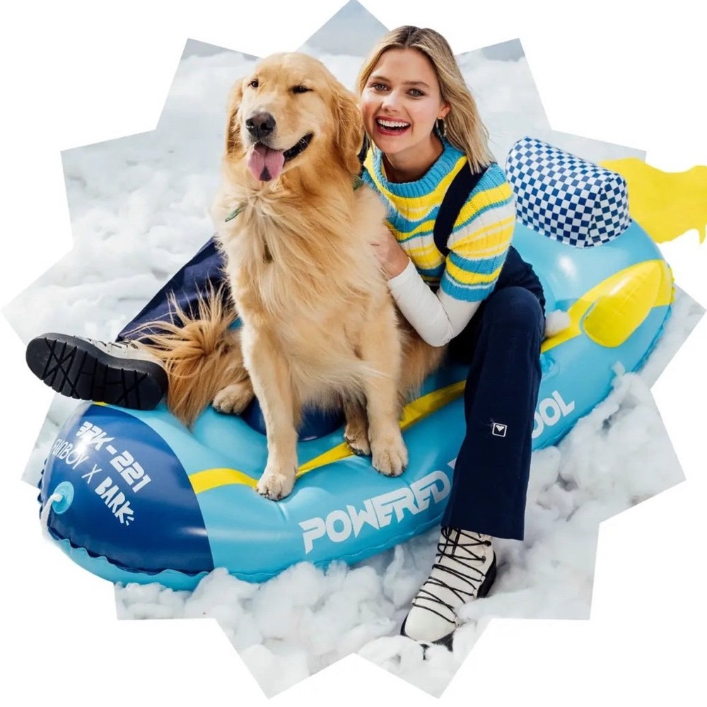 Bark Box Dog Sled!! NEW in box! 250 pound weight limit!!